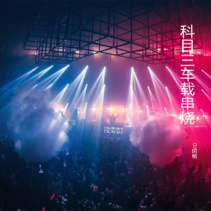 Listen to 科目三车载串烧5 song with lyrics from DJ阿楷