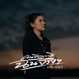 Listen to คนที่อยากมีฉันจริงๆ song with lyrics from แป้ง นลิณี