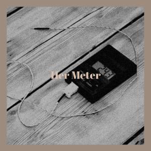 Various的专辑Her Meter
