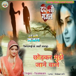 收聽Yasmeen的chhodkar mujhe o jaane Wale (Hindi)歌詞歌曲