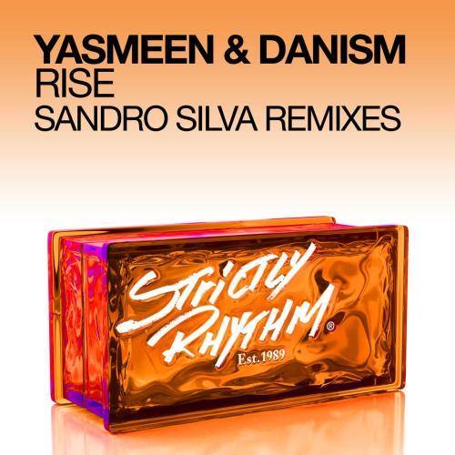 Rise (Sandro Silva Instrumental)