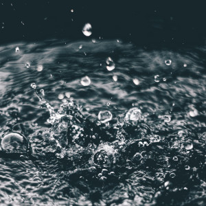 收聽Sounds of Nature White Noise for Mindfulness Meditation and Relaxation的Rabbit Clouds歌詞歌曲