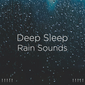 ดาวน์โหลดและฟังเพลง Deep Sleep Rain พร้อมเนื้อเพลงจาก Rain Sounds