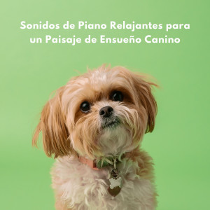 Jazz for Dinner的專輯Sonidos De Piano Relajantes Para Un Paisaje De Ensueño Canino