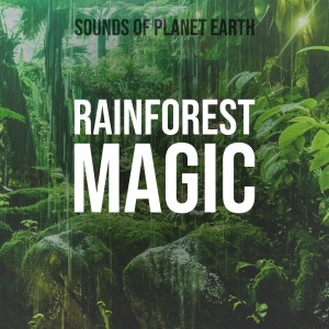 ดาวน์โหลดและฟังเพลง Sleepy Night Rainforest Thunder and Rain พร้อมเนื้อเพลงจาก Sounds of Planet Earth