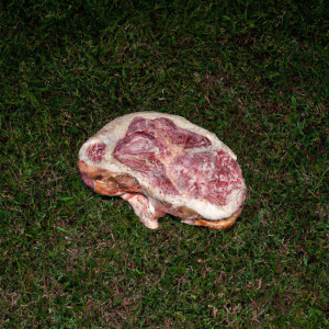 Listen to The Meat Suit Is My Enemy song with lyrics from Restless Modern