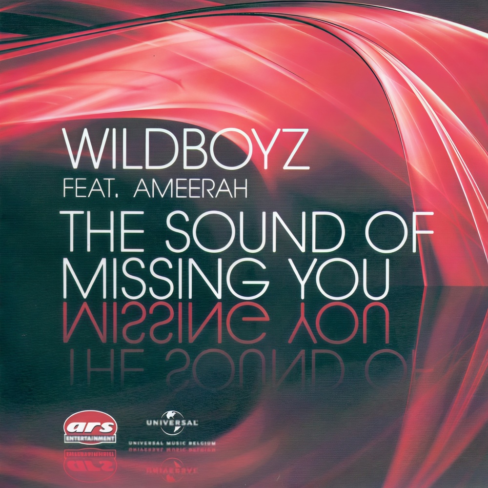 The Sound of Missing You (Radio Edit)