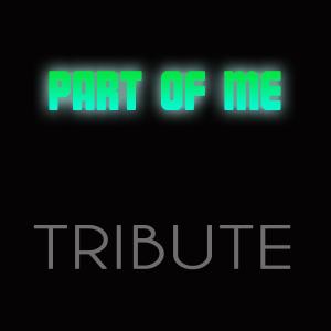 ดาวน์โหลดและฟังเพลง Part of Me พร้อมเนื้อเพลงจาก Katy Perry Karaoke Band