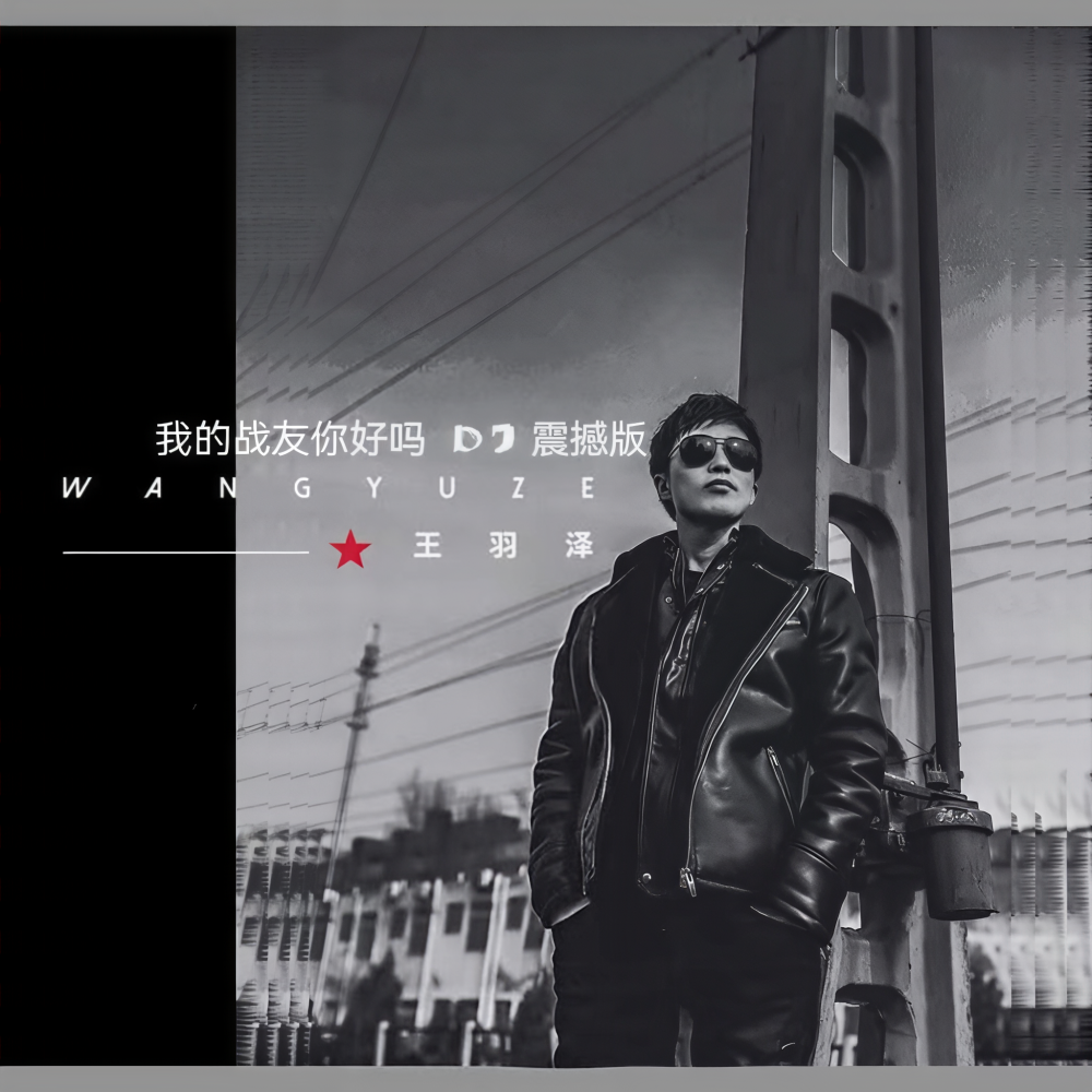 我的战友你好吗（DJ版） (伴奏)