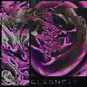 Album Alkahest (feat. Lumko) from Neve