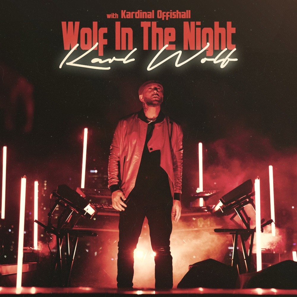 Wolf in the Night