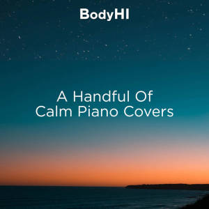 Listen to Everything I Wanted (Piano Sleep Mix) song with lyrics from BodyHI