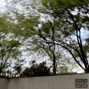 Listen to I'm the Worst (Explicit) song with lyrics from heartbreakP