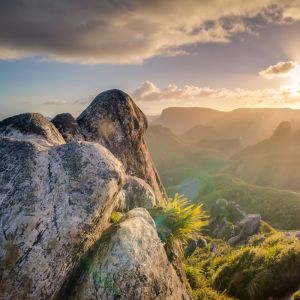 Listen to Mild song with lyrics from Deep Sleep