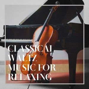 Album Classical waltz music for relaxing from Various