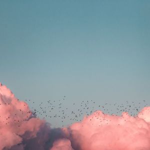 收聽Rain for Deep Sleep的Sunset on the Mountain歌詞歌曲