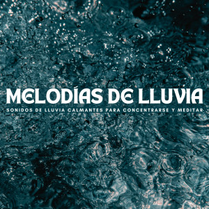 Album Melodías De Lluvia: Sonidos De Lluvia Calmantes Para Concentrarse Y Meditar oleh Sonido de lluvia ricky