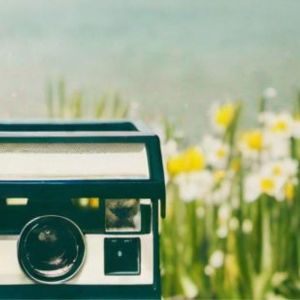 ดาวน์โหลดและฟังเพลง Sun Drop พร้อมเนื้อเพลงจาก locuststreetmusic