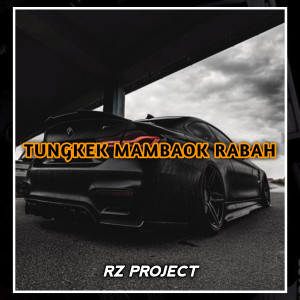 Dengarkan lagu TAPACIK DINAN SANSAI nyanyian RZ Project dengan lirik