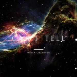 收聽Wiser Observer的Can't Tell (Explicit)歌詞歌曲