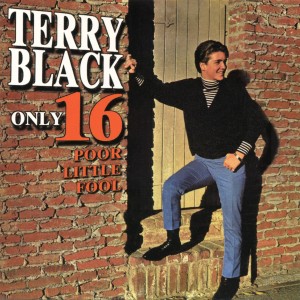ดาวน์โหลดและฟังเพลง Say It Again พร้อมเนื้อเพลงจาก Terry Black
