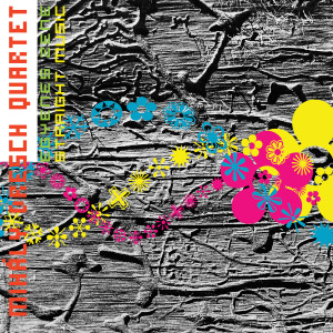 Album Straight Music oleh Mihály Dresch Quartet