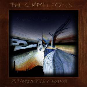 ดาวน์โหลดและฟังเพลง Monkeyland พร้อมเนื้อเพลงจาก The Chameleons