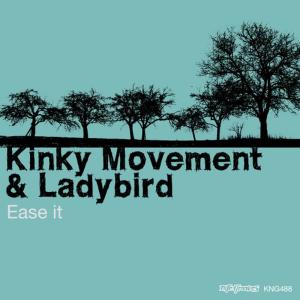 ดาวน์โหลดและฟังเพลง Ease It (Dub Remix) พร้อมเนื้อเพลงจาก Kinky Movement