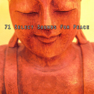 อัลบัม 71 Select Sounds For Peace ศิลปิน Yoga Soul