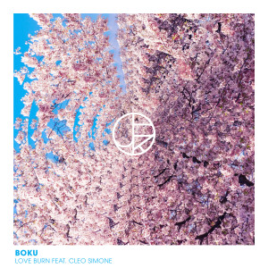 Listen to Love Burn song with lyrics from Boku