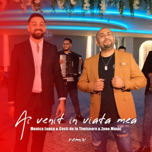 Listen to Ai venit in viata mea (Remix) song with lyrics from MONICA LUPSA