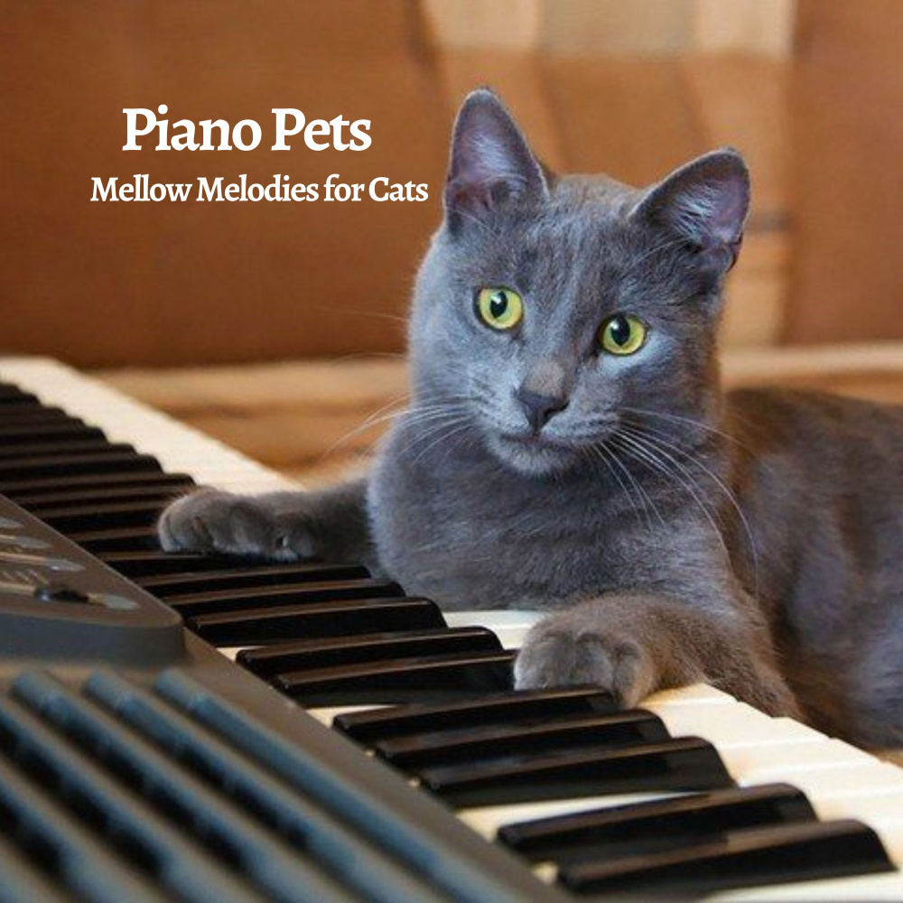 Classical Piano Overture