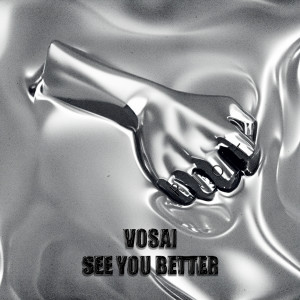 Album See You Better from Vosai