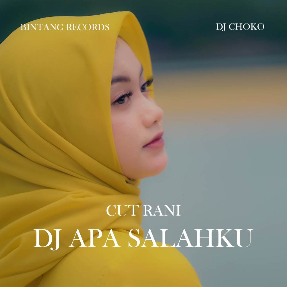 DJ APA SALAHKU (Remix)