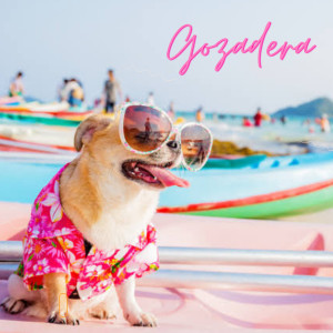 Dengarkan lagu Gozadera (Explicit) nyanyian Alex on the rocks dengan lirik