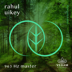 收聽Rahul Uikey的963 Hz Master歌詞歌曲