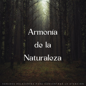 Armonía De La Naturaleza: Sonidos Relajantes Para Concentrar La Atención dari Concentración de ondas alfa