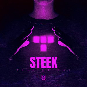 Listen to Tell Me Why song with lyrics from Steek