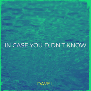 收听Dave L的In Case You Didn't Know歌词歌曲