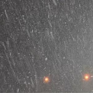 Album First Snowfall - Solo Piano from Ryan Pollie