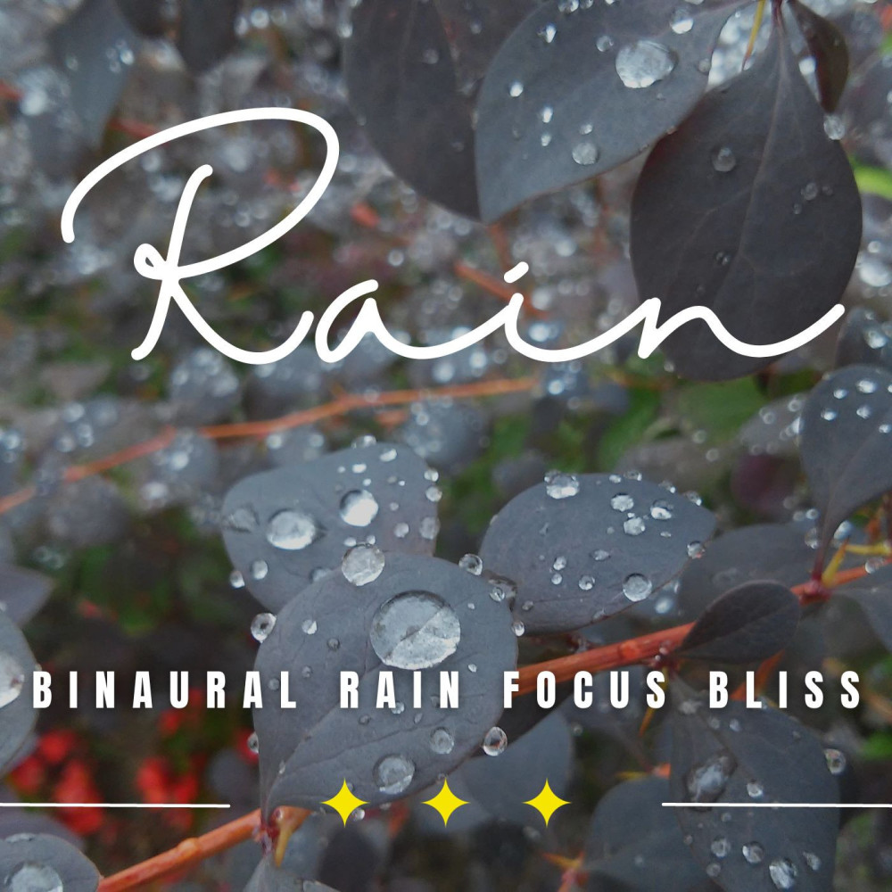 Serenading Rain Concentration