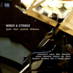 Andrea Lieberknecht的專輯Winds & Strings: Spohr, Ibert, Janacek & Widmann (Live)