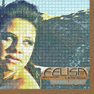 ดาวน์โหลดและฟังเพลง Dreamin พร้อมเนื้อเพลงจาก Felisa Latin Soul