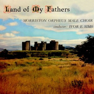 收听Morriston Orpheus Choir的Rock Of Cader Idris歌词歌曲