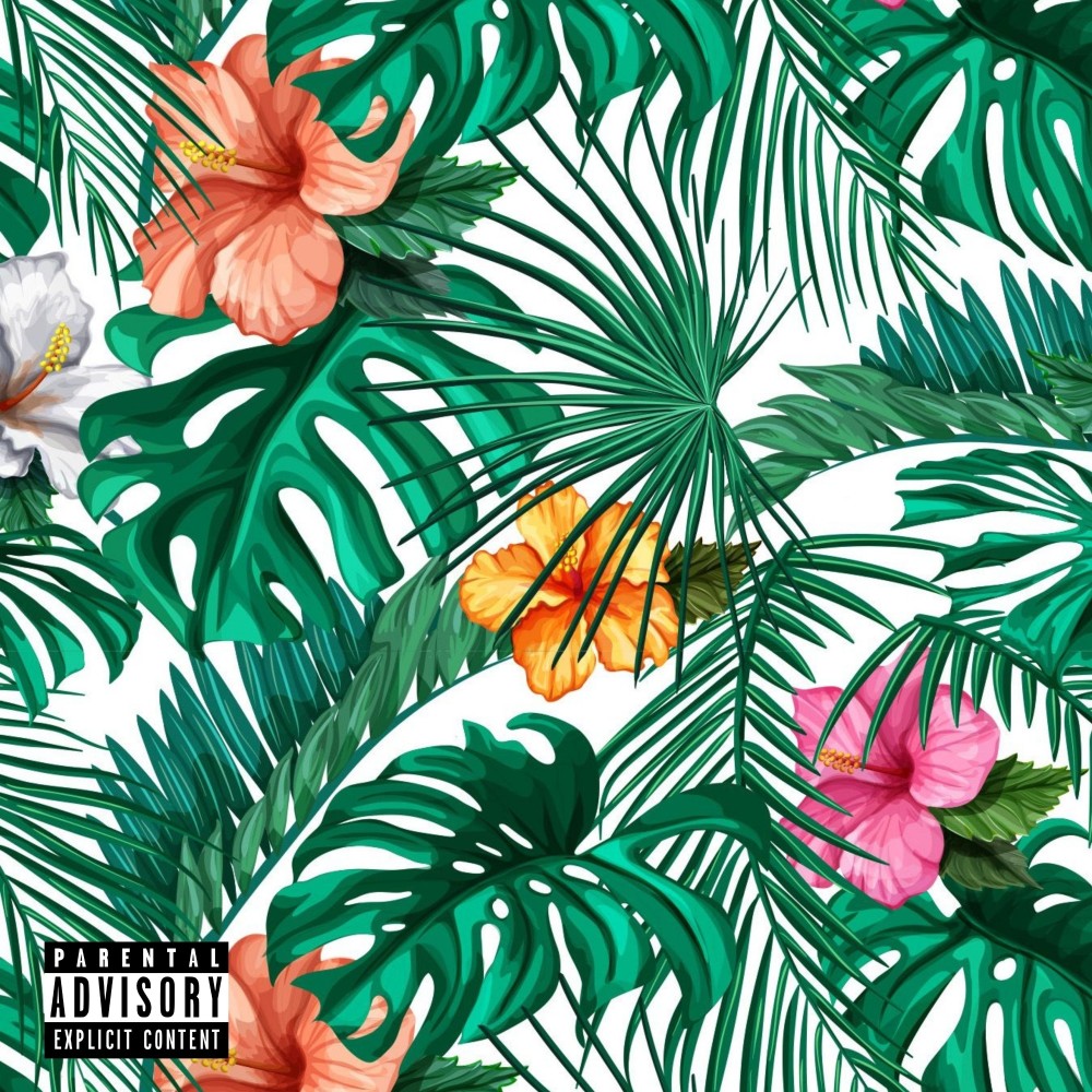 Tropical Dice (Explicit)