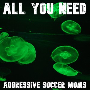 收聽Aggressive Soccer Moms的The Weakest Voices歌詞歌曲