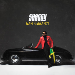 ดาวน์โหลดและฟังเพลง Body Good พร้อมเนื้อเพลงจาก Shaggy