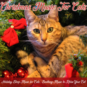 Listen to White Christmas (Calm Your Cat) song with lyrics from RelaxMyCat