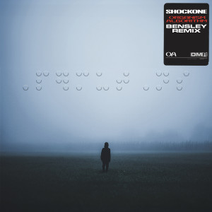 ดาวน์โหลดและฟังเพลง Organism Algorithm (Bensley Remix) พร้อมเนื้อเพลงจาก ShockOne