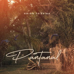 Album Pantanal from Chico Teixeira